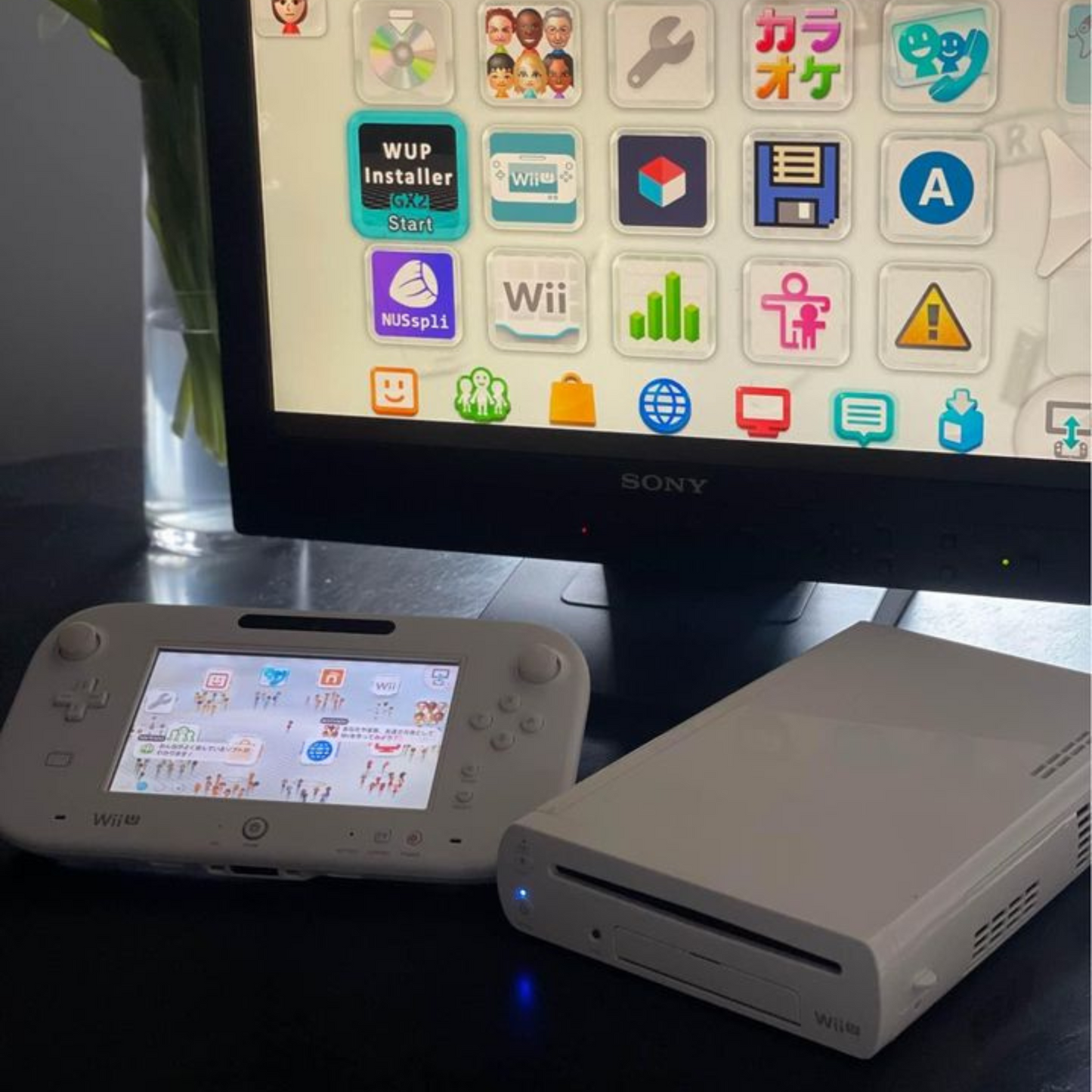 Nintendo Wii U White CFW Aroma