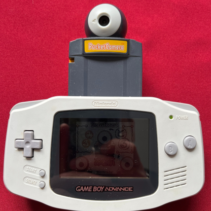 Pocket Camera (Gameboy)