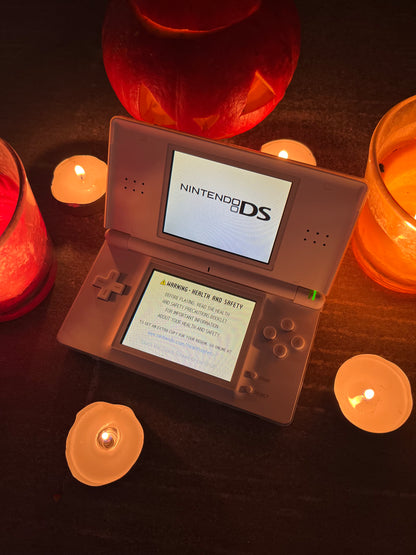 Nintendo DS Lite v "Děsivém stavu"