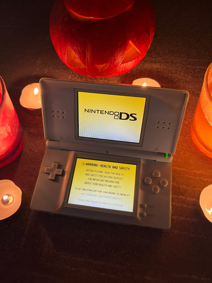 Nintendo DS Lite v "Děsivém stavu"